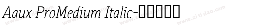 Aaux ProMedium Italic字体转换